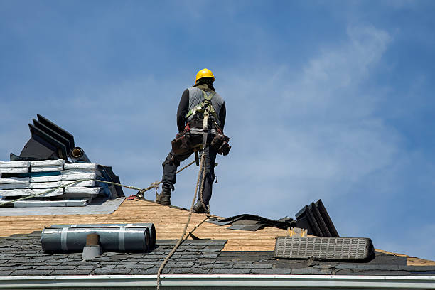 Professional Storm Damage Roof Repair technician working in Douglas, WY